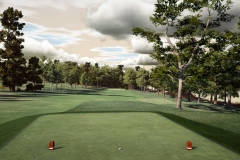 Grenadier Island CC